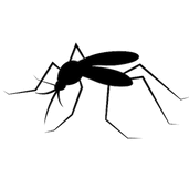 Mosquito Scout