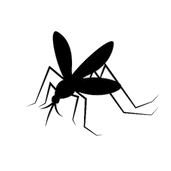Mosquito Worker