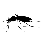 Mosquito Brute
