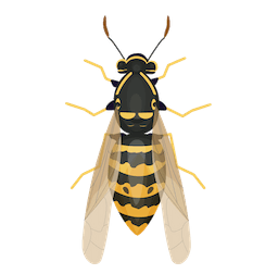 Wasp Stinger